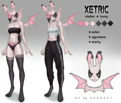 Standard Sheet + extras